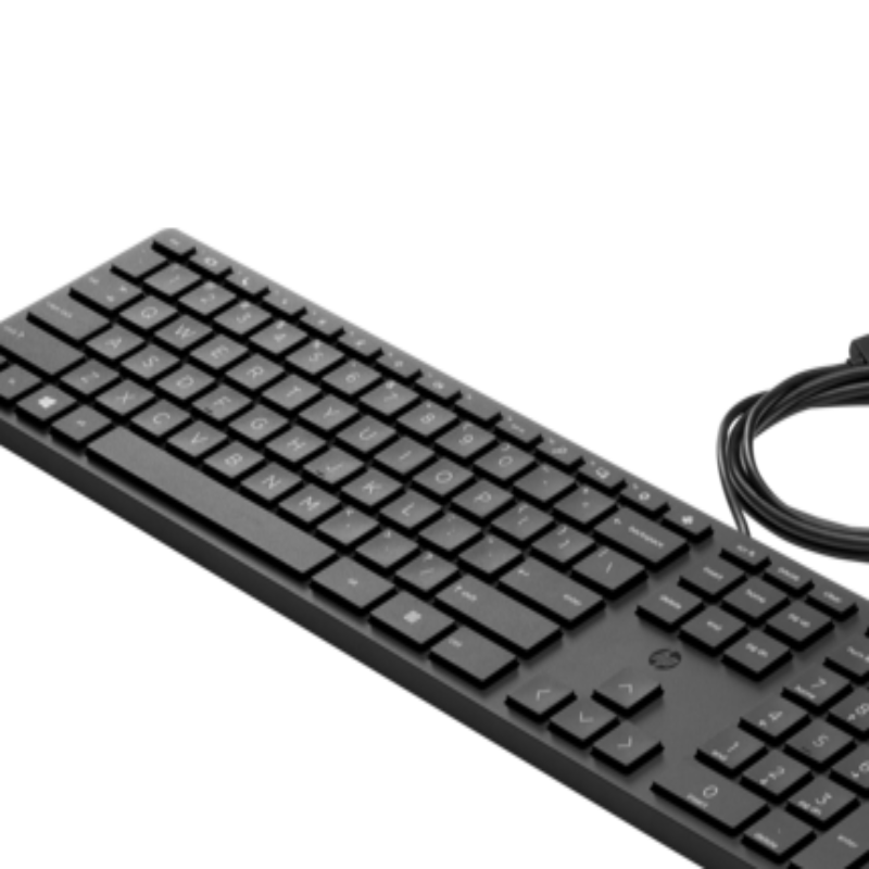 HP USB Wired Desktop 320K Keyboard (Bulk12)