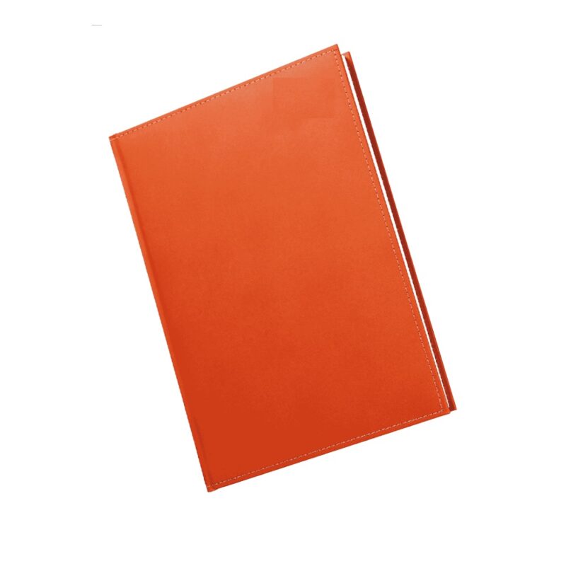 A5 Diary Page A Day PS 2026 Orange