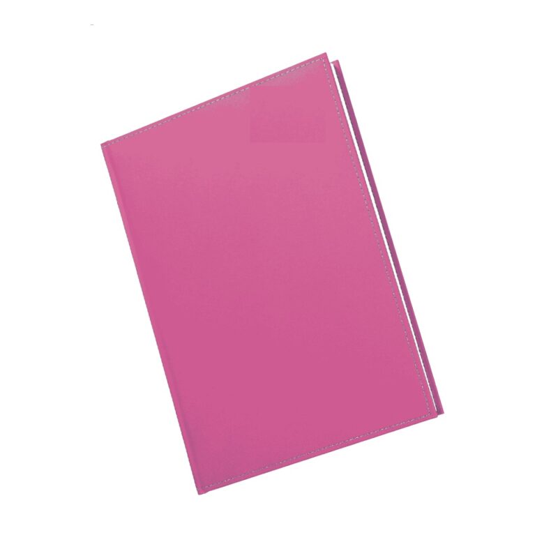 A5 Diary Page A Day PS 2026 Pink/lilac
