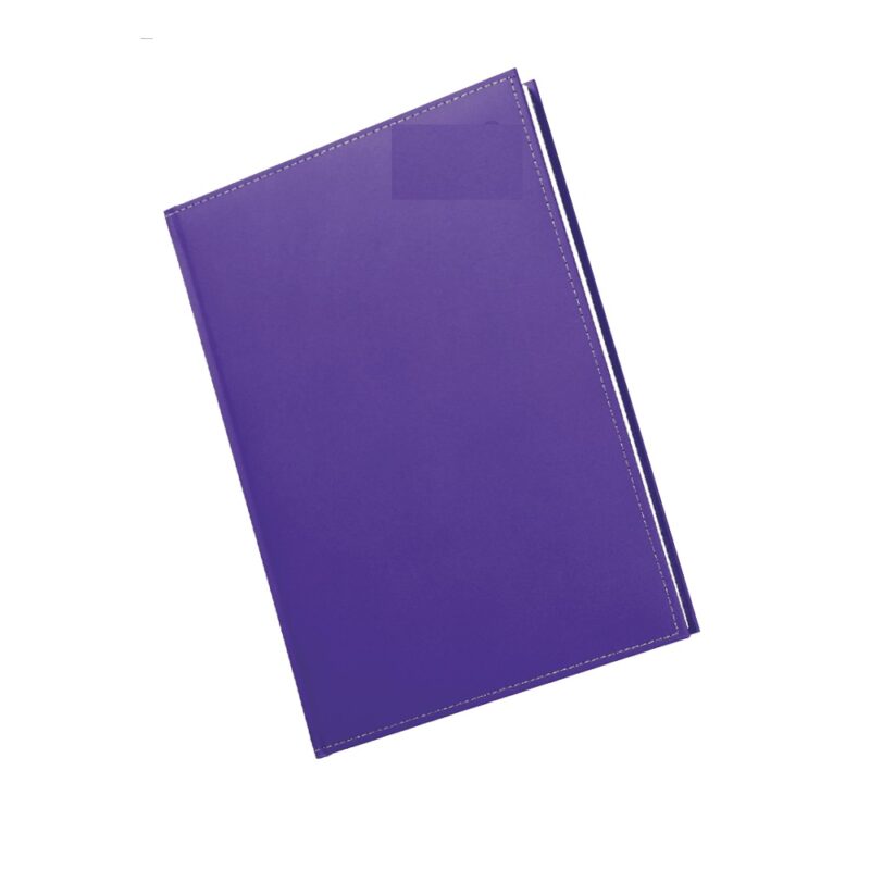 A5 Diary Page A Day PS 2026 Purple