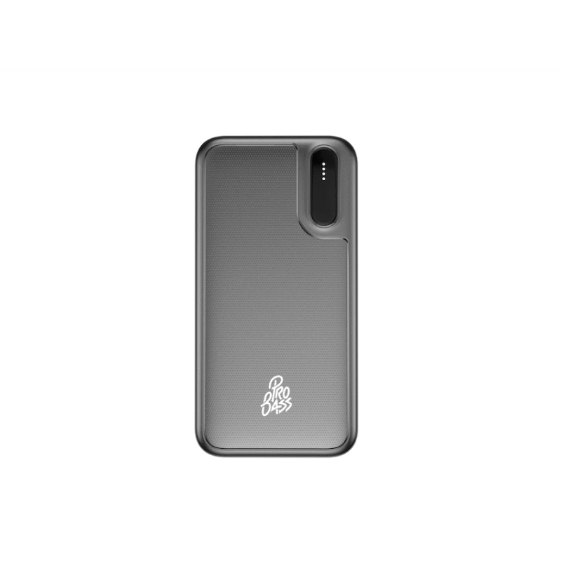 Pro Bass ChargeMax Series 10000mah Power Bank