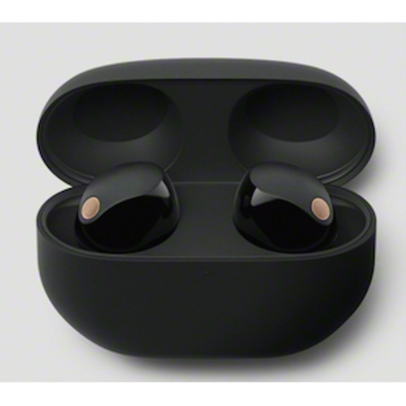 Sony WF-1000XM5 (Black) Premium TWS Earphones