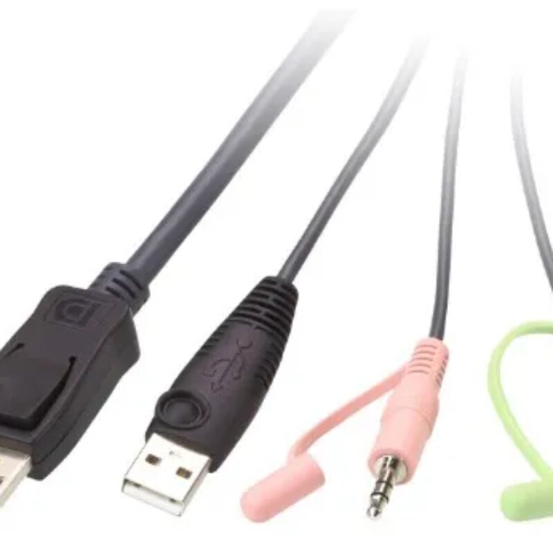 Aten USB 2-Port DisplayPort Cable With Remote Port Selector KVM Switch