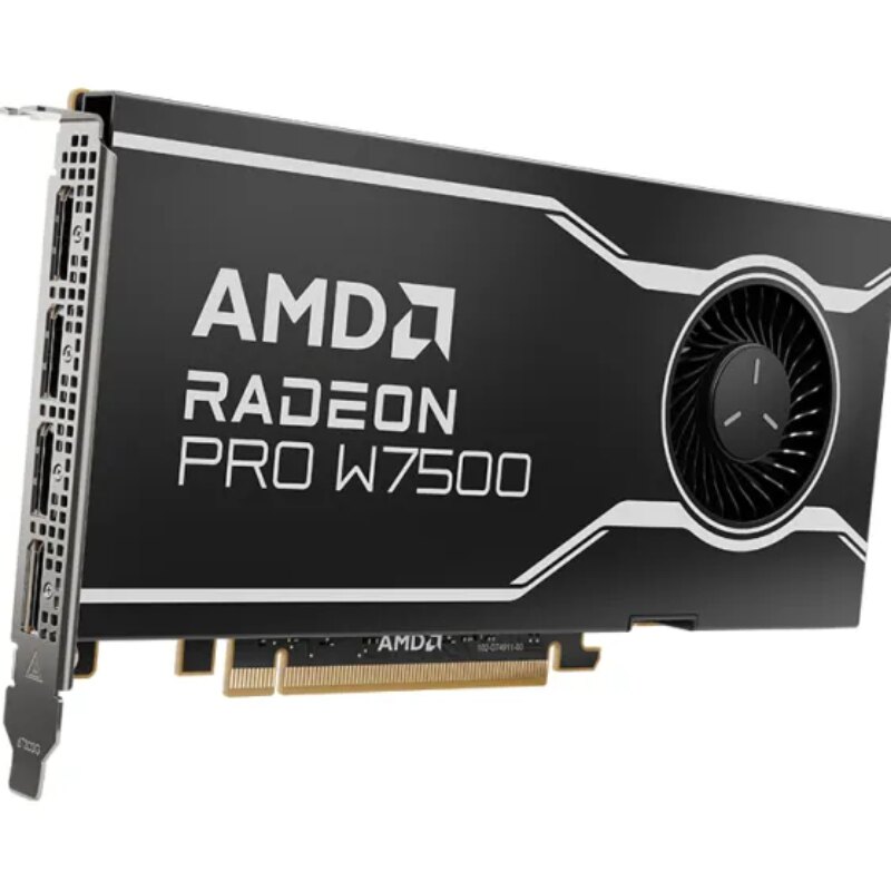 AMD Radeon Pro W7500 – Graphics card – Radeon Pro W7500 – 8 GB GDDR6 – PCIe 4.0 x8 – 4 x DisplayPort 2.1