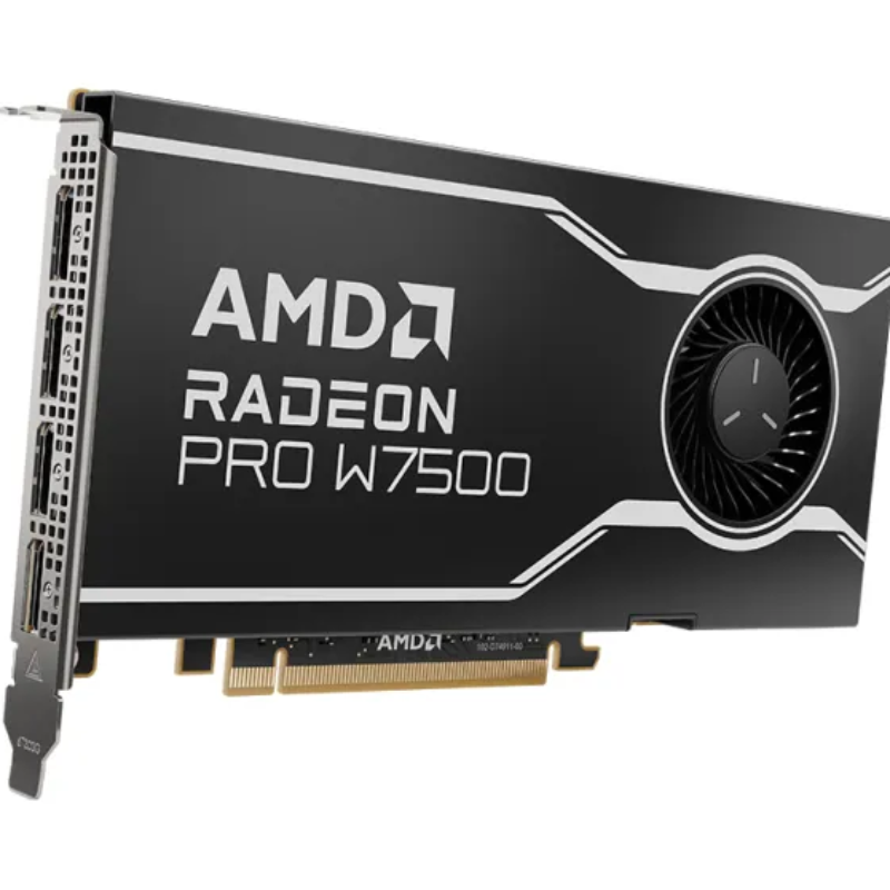 AMD Radeon Pro W7500 – Graphics card – Radeon Pro W7500 – 8 GB GDDR6 – PCIe 4.0 x8 – 4 x DisplayPort 2.1