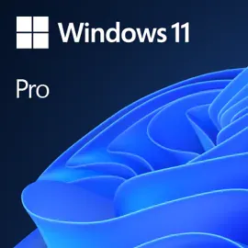 Microsoft Windows 11 Professional Single-User ESD License