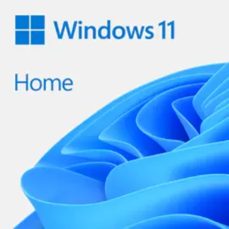 Microsoft Windows 11 Home Single-User ESD License